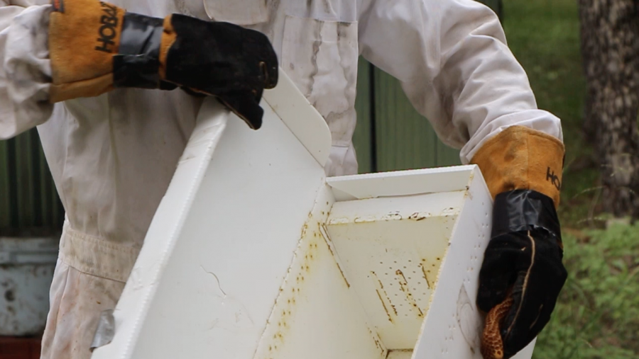 US science teacher John Cordell shares the shipping box used to mail order bees. 