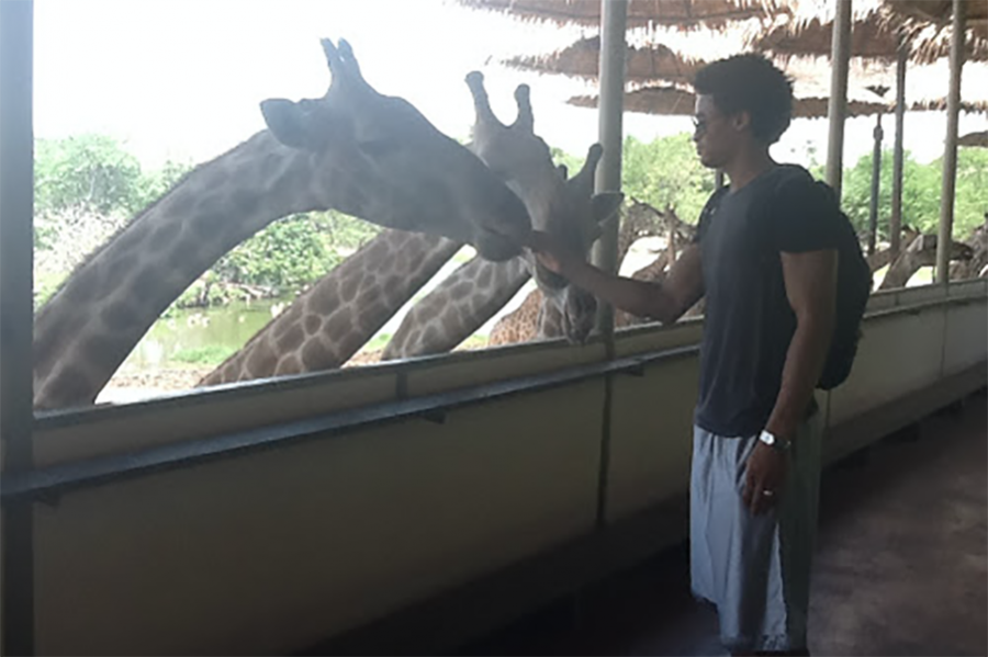 US+history+teacher+Quinton+Davis+feeds+giraffes+while+on+vacation+overseas.