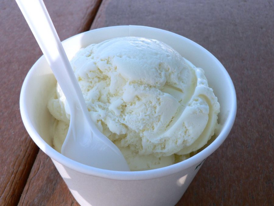 Vanilla Ice Cream at Curlys Frozen Custard