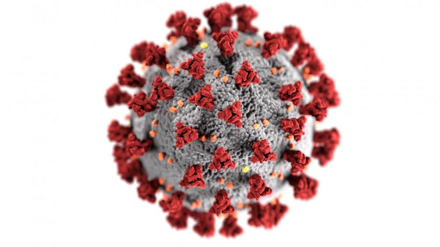 Pictured above is the novel coronavirus known as COVID-19. Image from the CDC