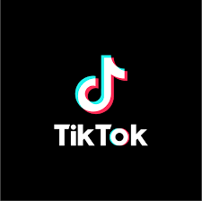 Falcons Go Viral on TikTok