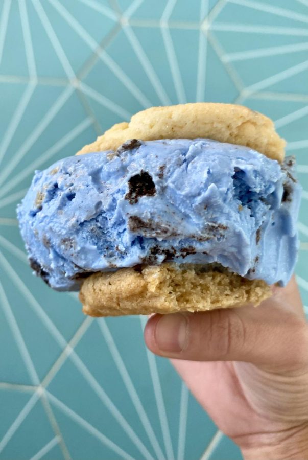 This cookie sandwich consisted of a sugar cookie, cookie monster ice cream, and a chocolate chip cookie. Photo by Anna Hooton 22