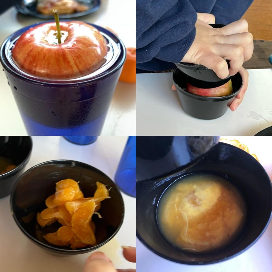 At lunch, we pressed apples and oranges to make the freshest juice posssible.