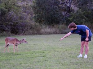 Ryan Braden '26 encounters a deer at Bamberger Ranch.