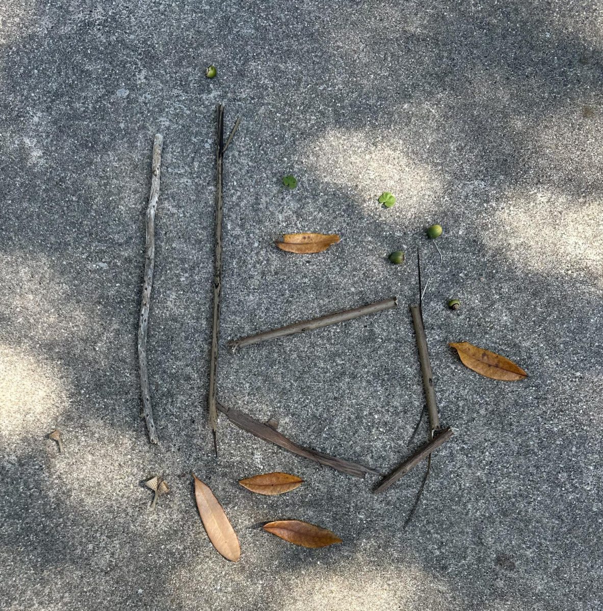 Creative arrangement of sticks in the shape of the number 16. Evie Blan made the arrangement.