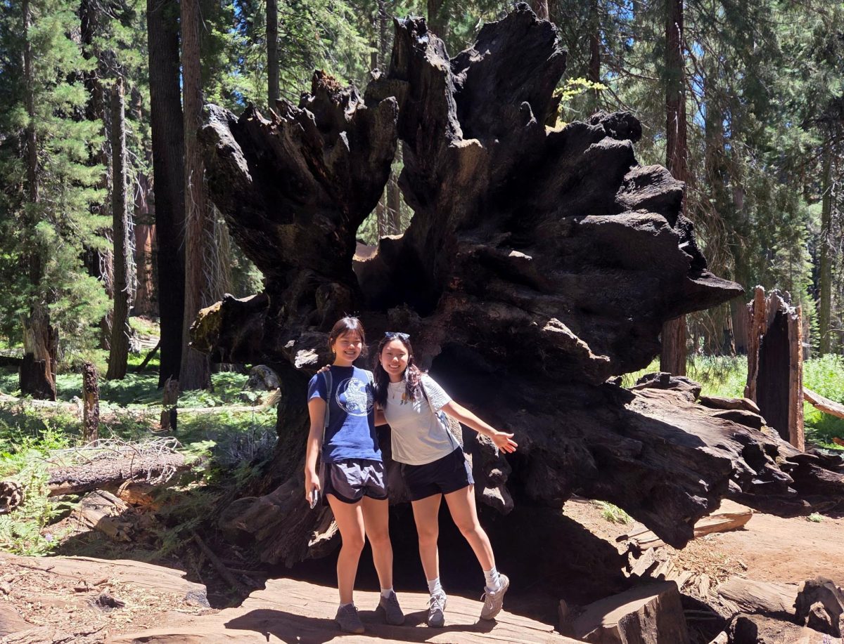 Grace Kim '29 and her sister, Joy, hike together in Sequoia National Park.