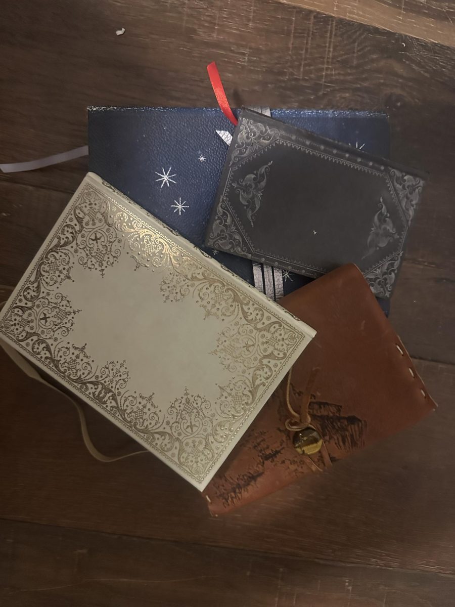 An arrangement of Lila's personal journals, which not only range in looks but also topics within each one.