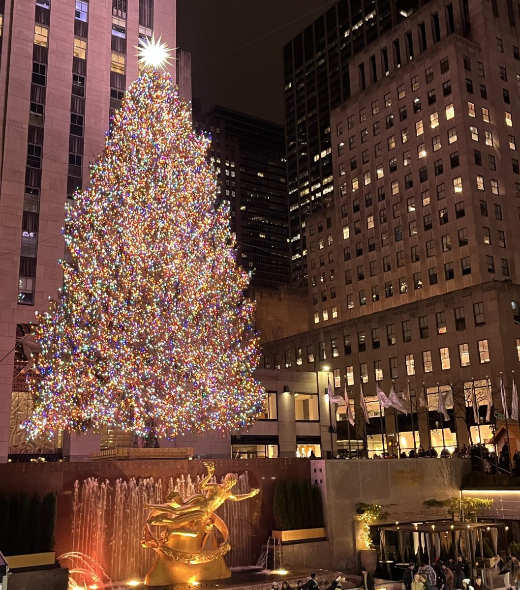 The 2024 Rockefeller Christmas tree in Times Square.